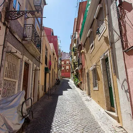 Typical Santa Catarina By Homing Lisboa